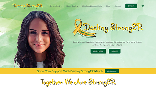 Destiny-StrongER Non-Profit Website